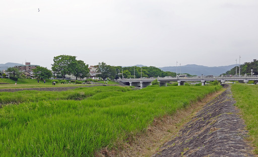 200606_kawa2.jpg
