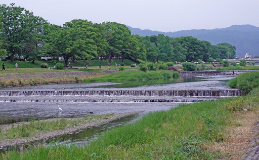 200606_kawa3.jpg