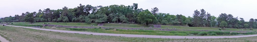 200606_kawa4.jpg