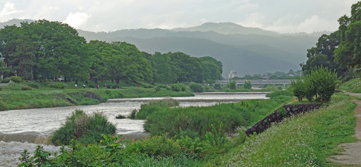 200705_kamo3.jpg