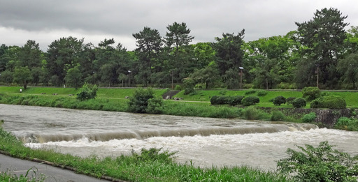 200707_nakaragi.jpg