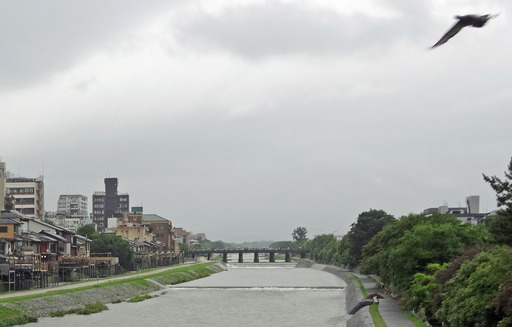 200713_kawayuka.jpg