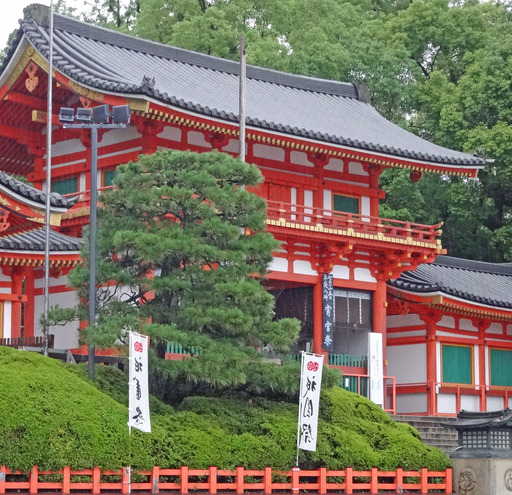 200713_yasaka1.jpg
