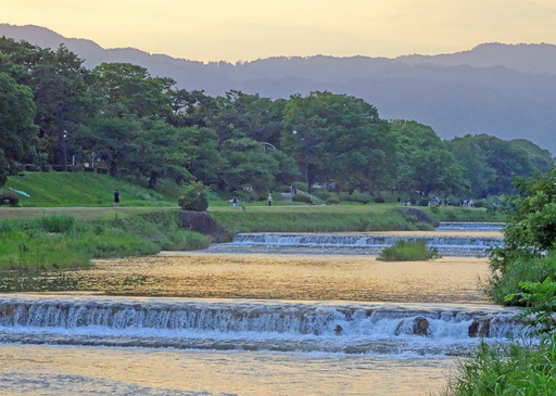 200719_kamogawa1.jpg