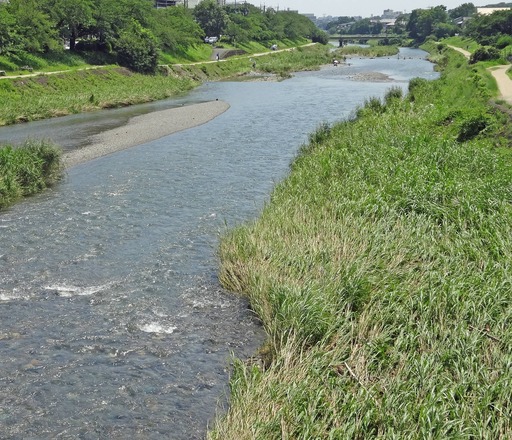 200719_takano.jpg
