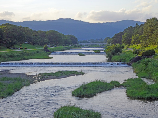 200731_kamo-kami.jpg