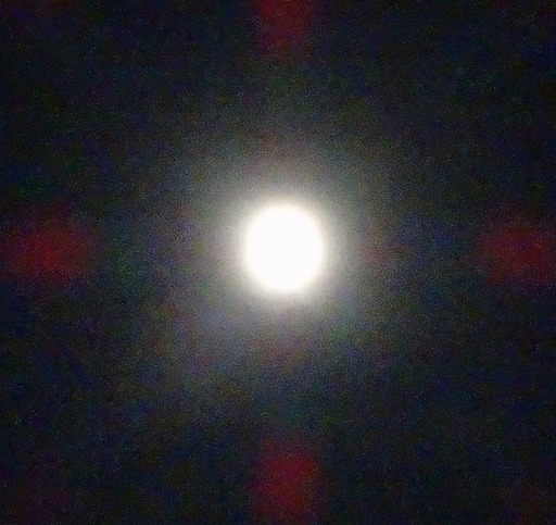 200731_moon.jpg