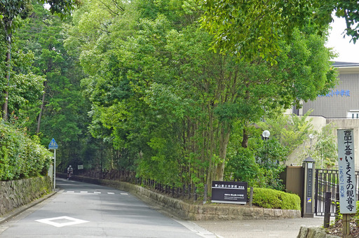 200803_33-15-2.jpg