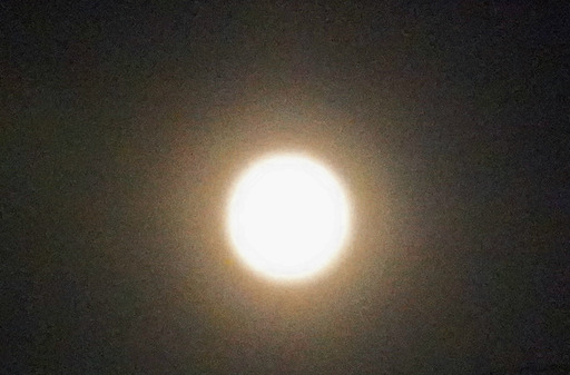 200803_fullmoon.jpg