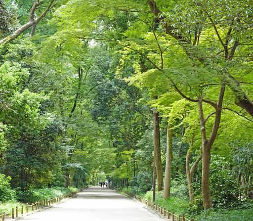 200813_tadasu.jpg