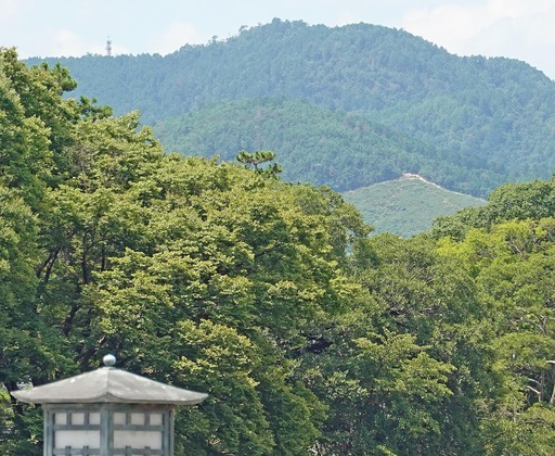 200816_fune.jpg