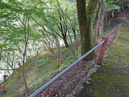 200912_miti.jpg