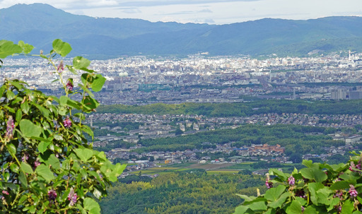 200912_sigai.jpg