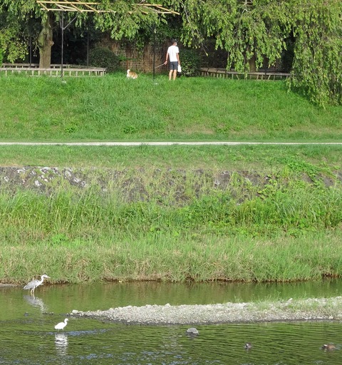 200914_sagi3.jpg