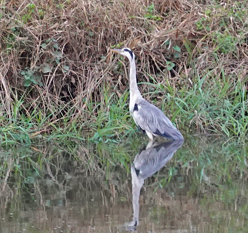 200919_sagi1.jpg