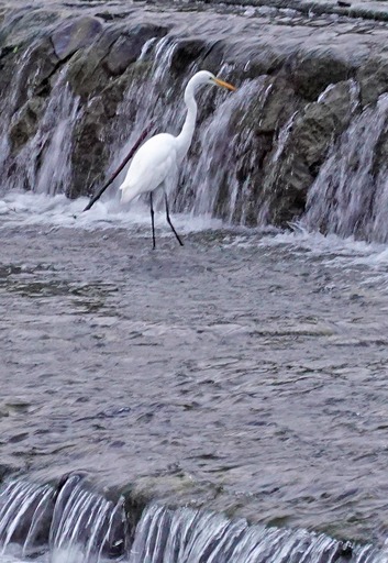 200919_sagi3.jpg
