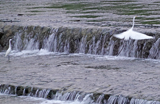 200919_sagi5.jpg