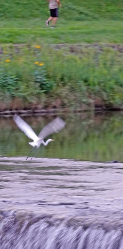 200919_sagi6.jpg