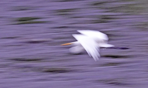 200919_sagi8.jpg