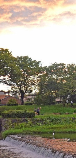 200926_yuuhi.jpg