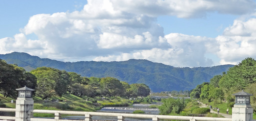 201012_kamo2.jpg