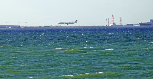 201024_sea3.jpg