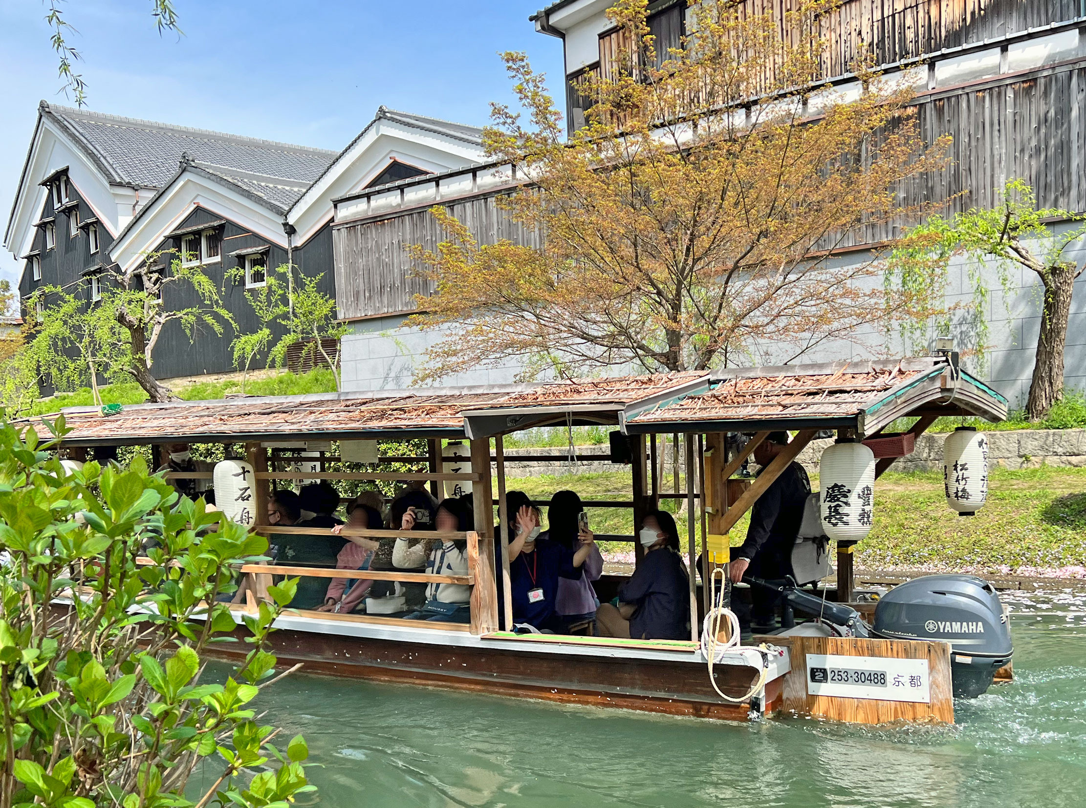 京洛逍遥（827）宇治川派流で十石舟に乗れず桜吹雪を満喫: <h2