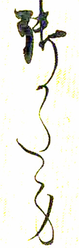 250124_B˚11oL8g.jpg