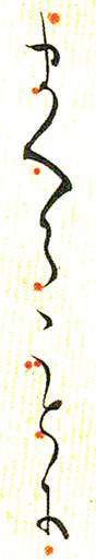 250125_B˚12oL6.jpg