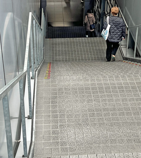 250129_萠.jpg