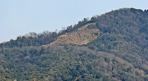 250130_啶[.jpg