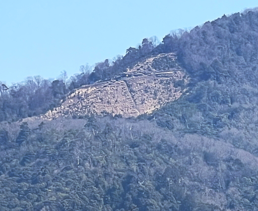 250227_啶.jpg