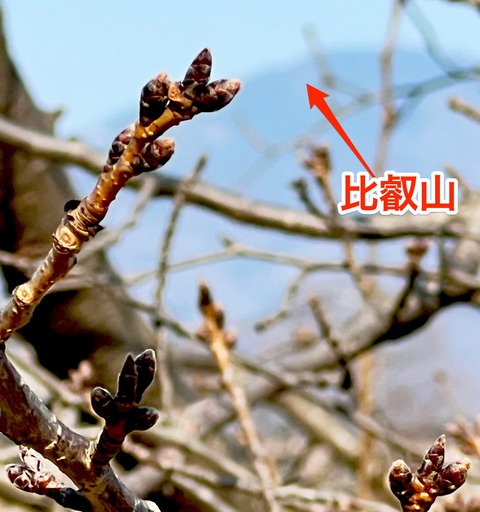 250227_Q.jpg