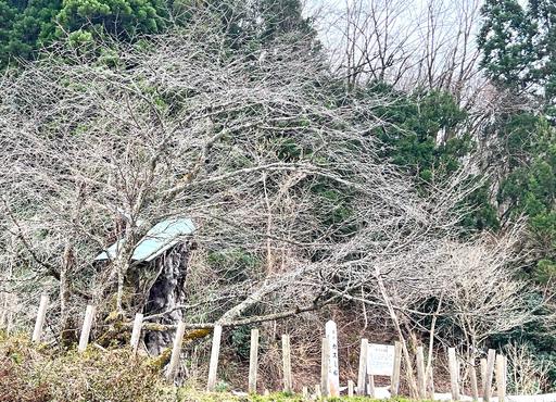 平山郁夫　 　　西都長安大街 平山郁夫 西都長安大街