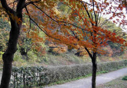 Inwwbw2c_s Inwwbw2c_s