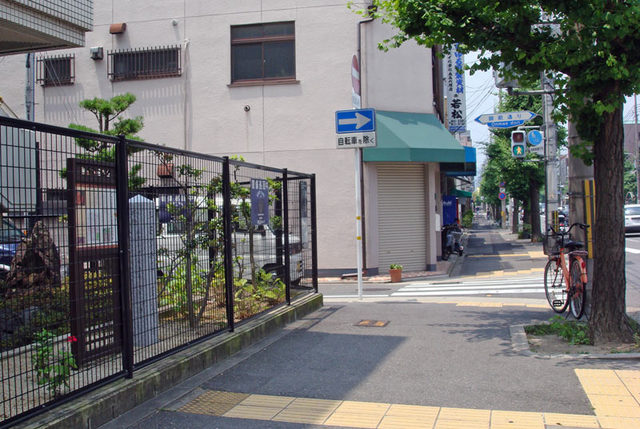 08072217samaryu1 08072217samaryu1