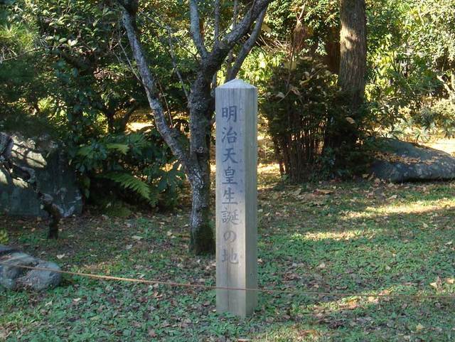 081207gyoen3 081207gyoen3