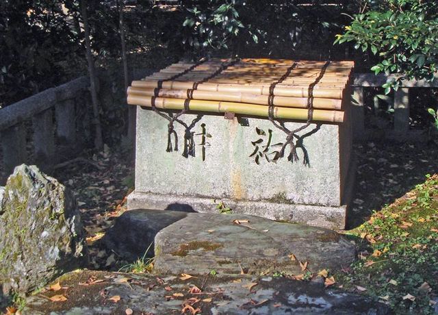 081207gyoen4 081207gyoen4