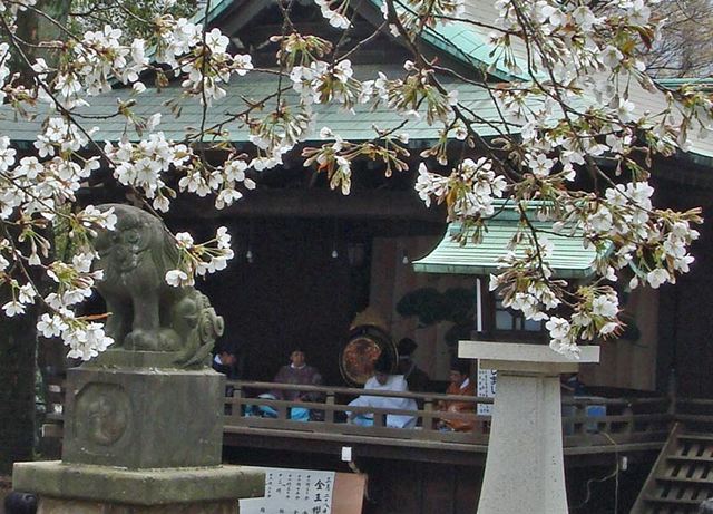 090328konnou 090328konnou
