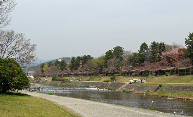 090403sakura1 090403sakura1