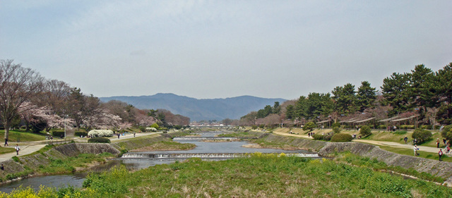 090403sakura4 090403sakura4