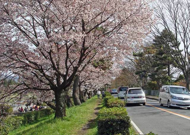 090405nakaragi3 090405nakaragi3