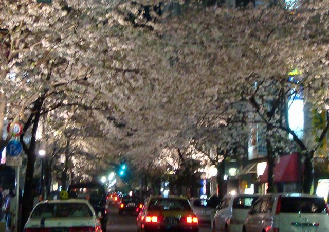 090407nihonbasi 090407nihonbasi
