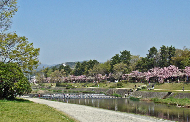 090411kamogawa1 090411kamogawa1