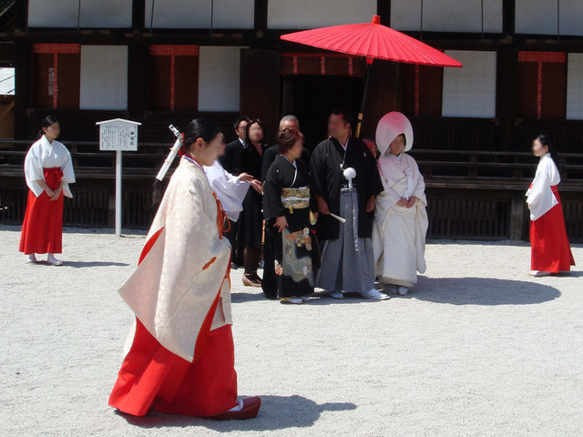 090411simogamo2 090411simogamo2