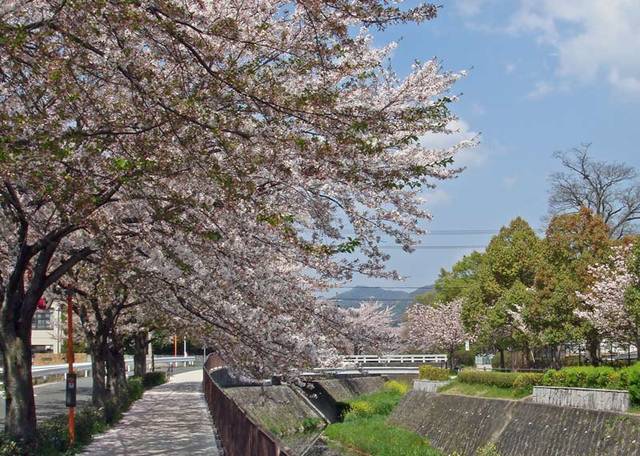 090412iwakura 090412iwakura
