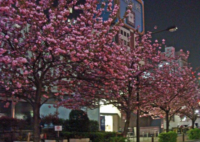 090413ginza 090413ginza