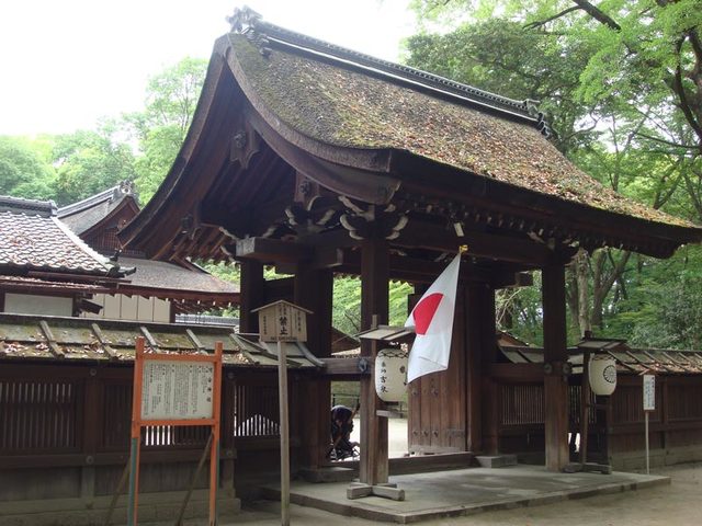 090505kawaijinjya1 090505kawaijinjya1
