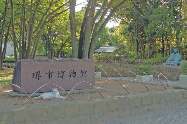 090905sakai1 090905sakai1