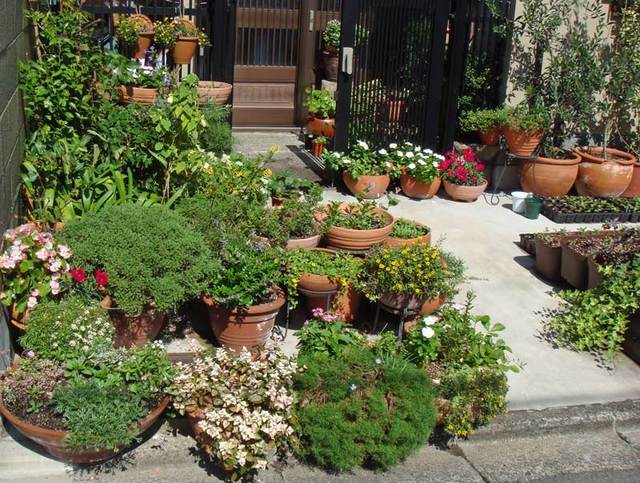 091014garden2 091014garden2